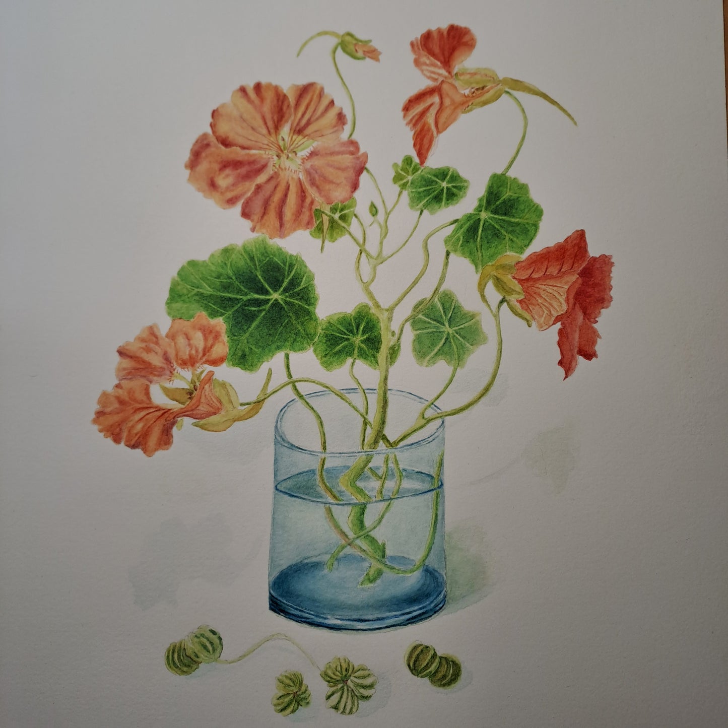 STAGE DE 2 JOURS 06 et 07 juin 2026 - Portraits botaniques, dessin et aquarelle.