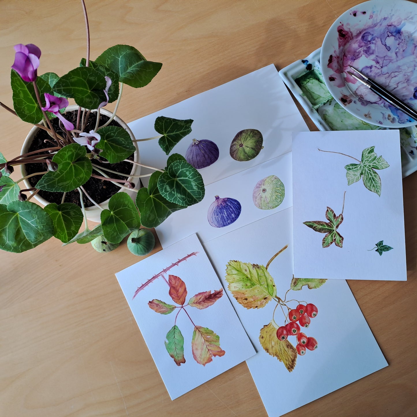 STAGE 3 JOURS -12,13,14 juillet 2025 - Portraits botaniques, aquarelle et dessin.