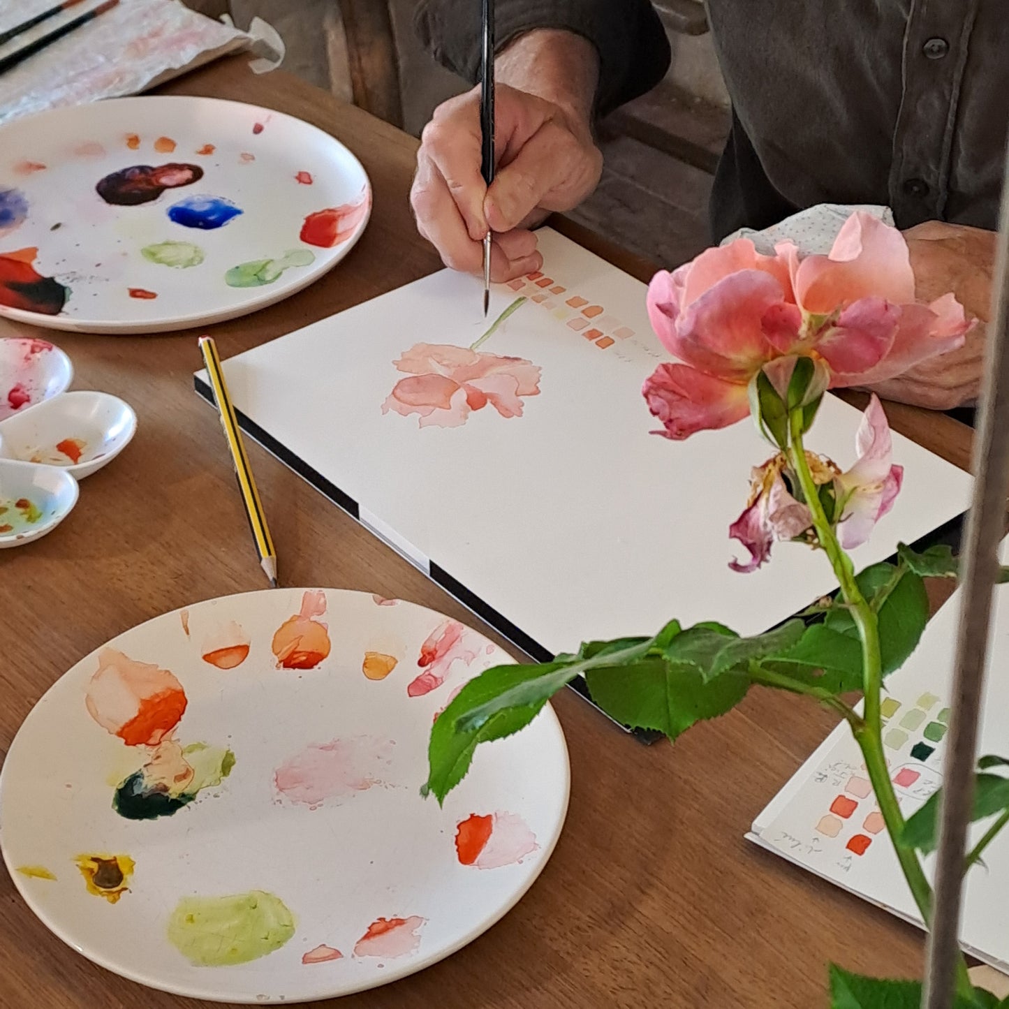 COURS 20 SEPTEMBRE 2025 de 13h à 18h - Portraits botaniques, aquarelle et dessin.