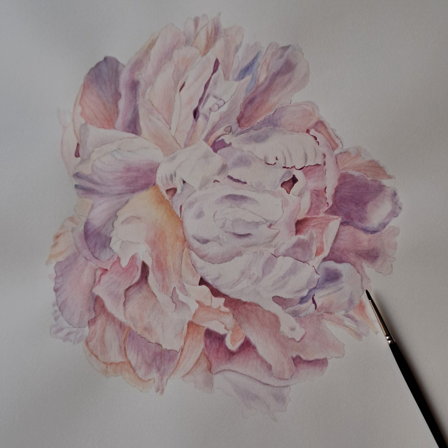 COURS 28 JUIN 2025 de 13h à 18h -Portraits botaniques, aquarelle et dessin