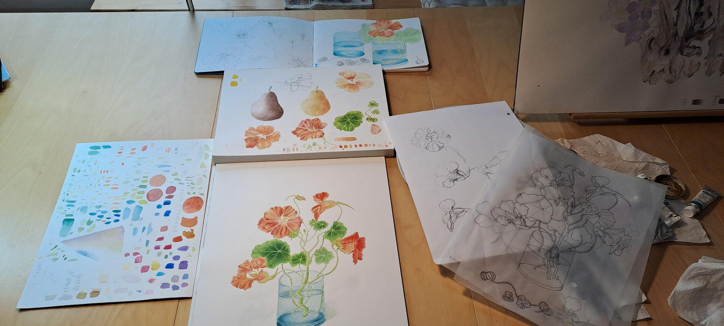 FORFAIT 15H (6 séances) ADULTE jeudi de 14h à 16h30 - Botanique, jardins et paysages - aquarelle et dessin.